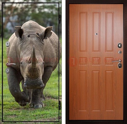 Металлическая дверь с фотопечатью носорога ДФ-31 в Волоколамске